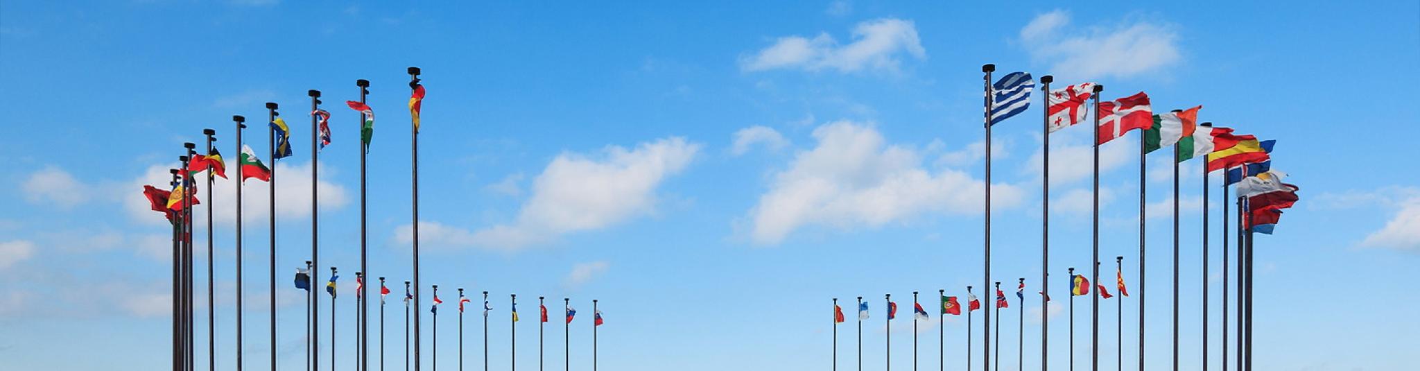 Assorted international flags 2.jpg