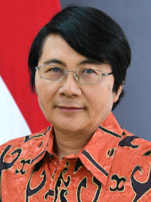 HE Ambassador Dr Siswo Pramono